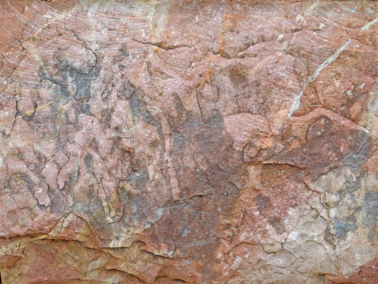 Marble Texture In The Garden photo