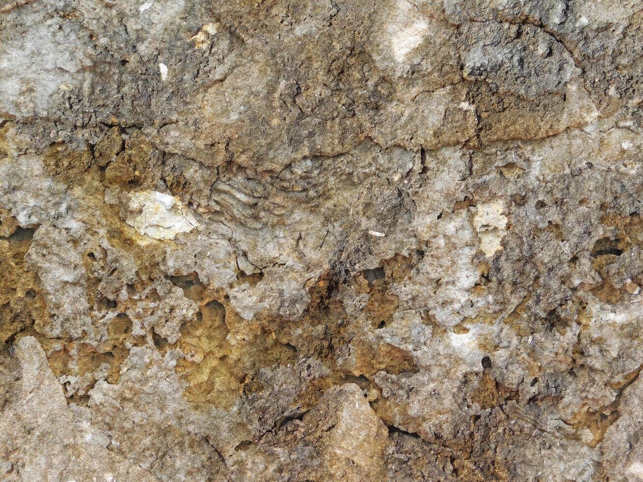 Outdoor stone texture photo