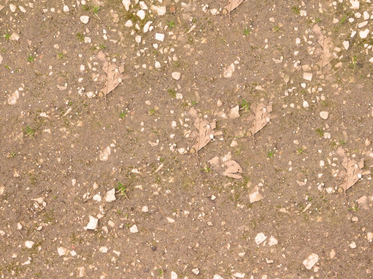 Stone Texture In The Garden photo