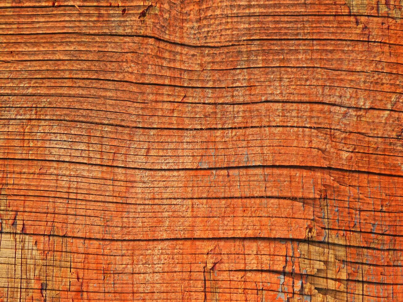 Wood Texture Outdoors In The Garden photo