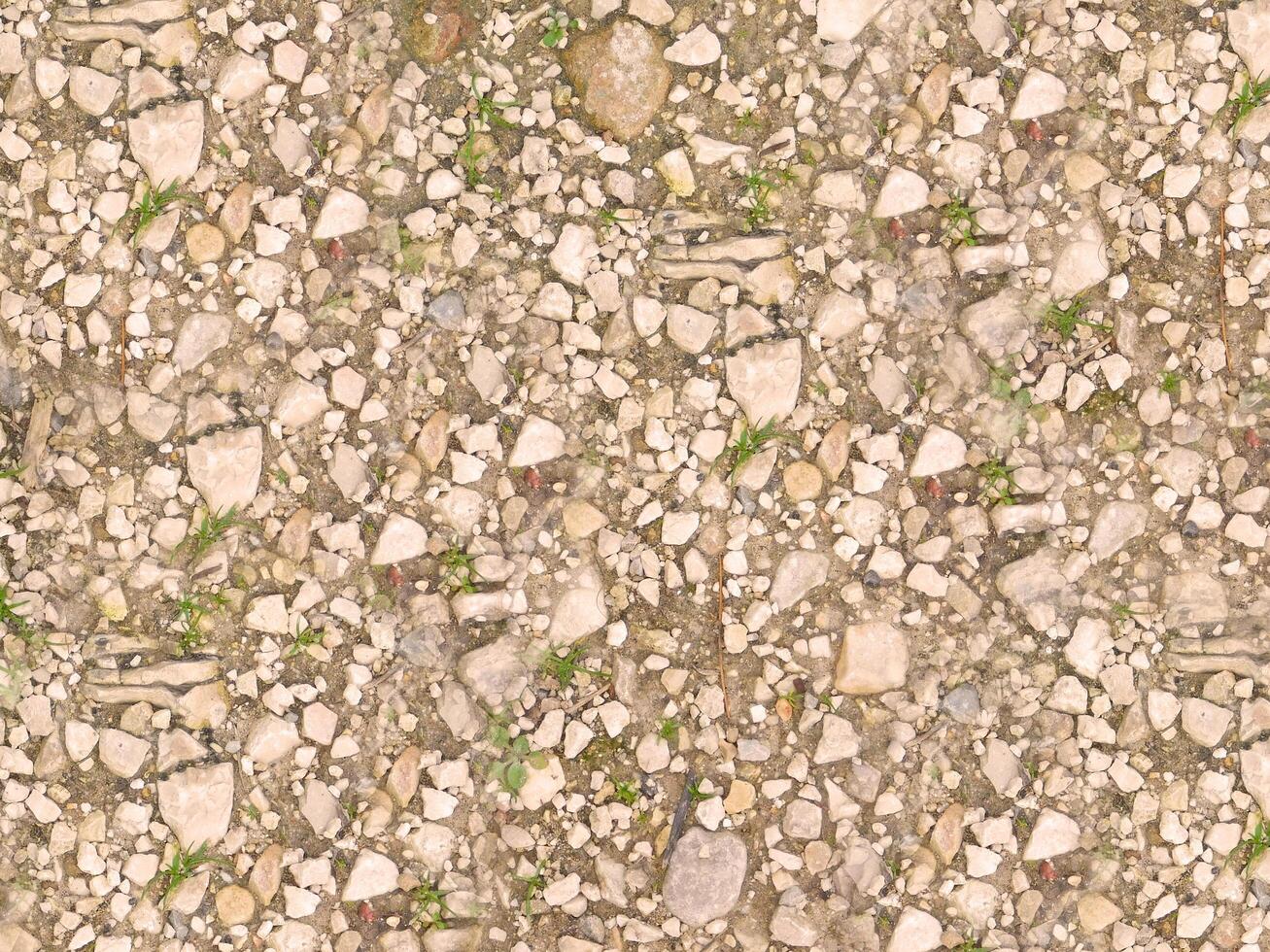 Stone Texture In The Garden photo