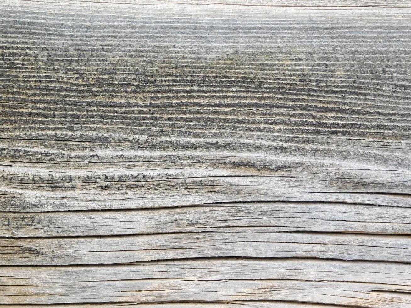 Wood Texture Outdoors In The Garden photo
