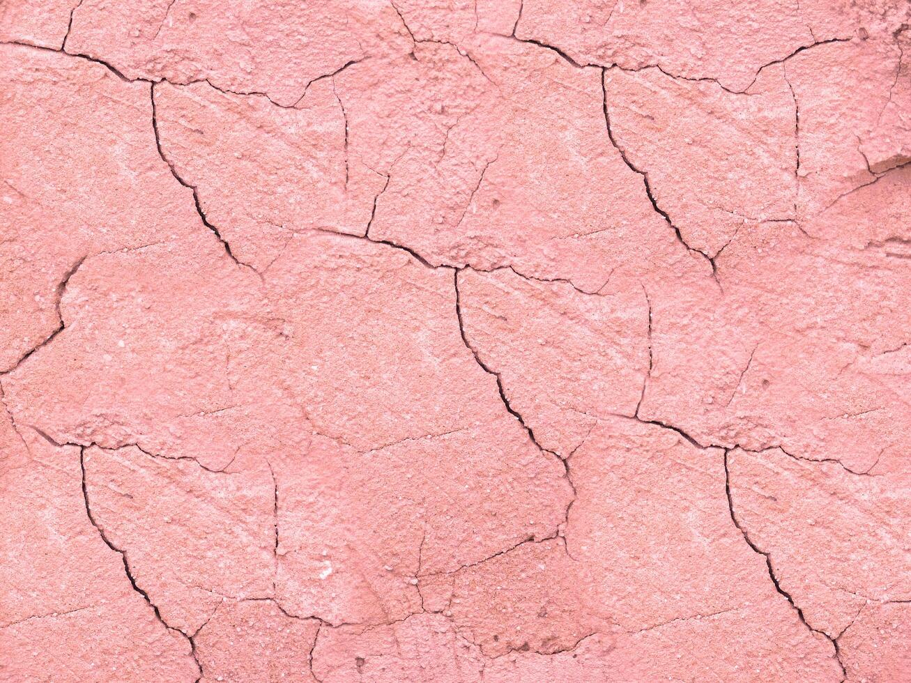 Stone Texture In The Garden photo