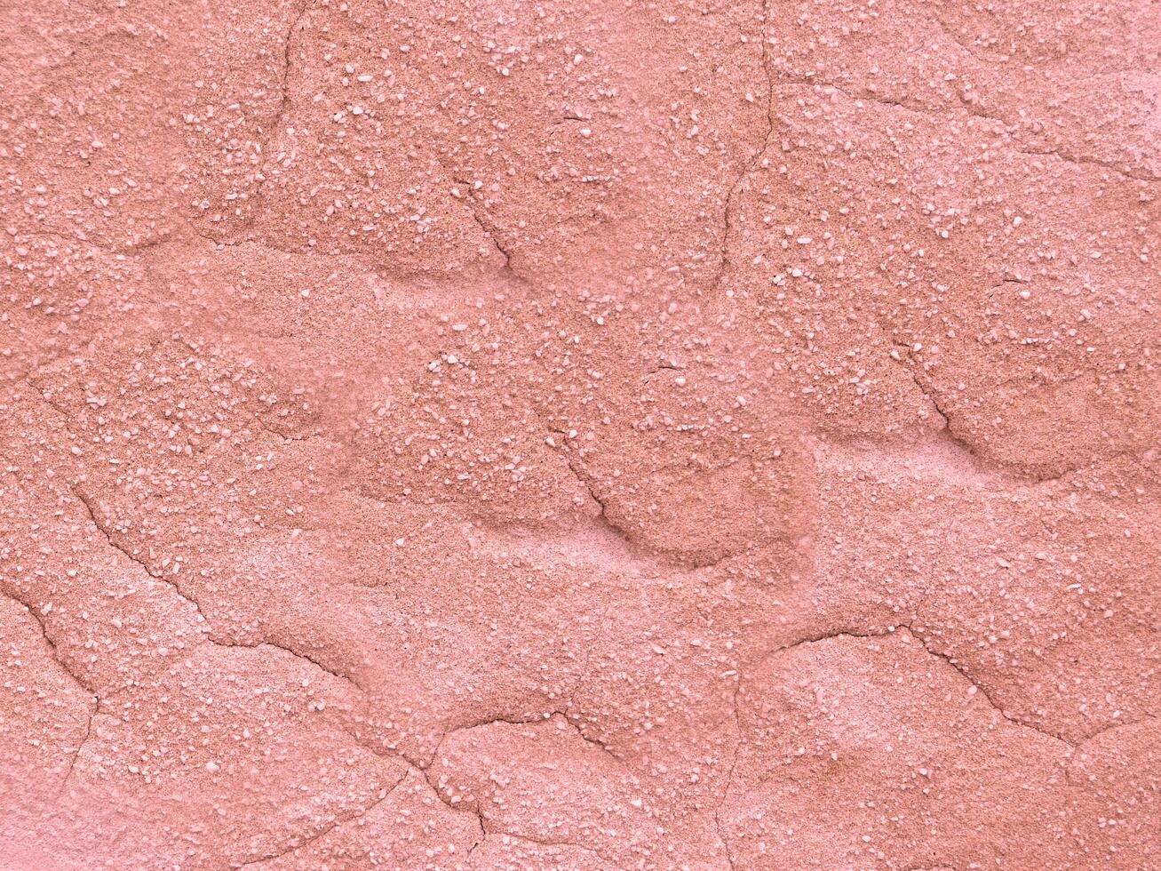 Stone Texture In The Garden photo