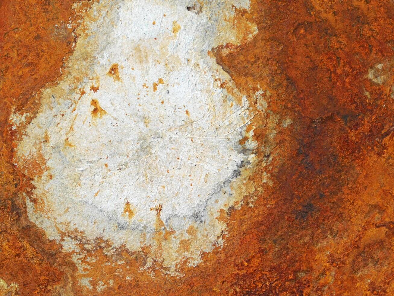 Metal Texture Outdoor In The Garden photo