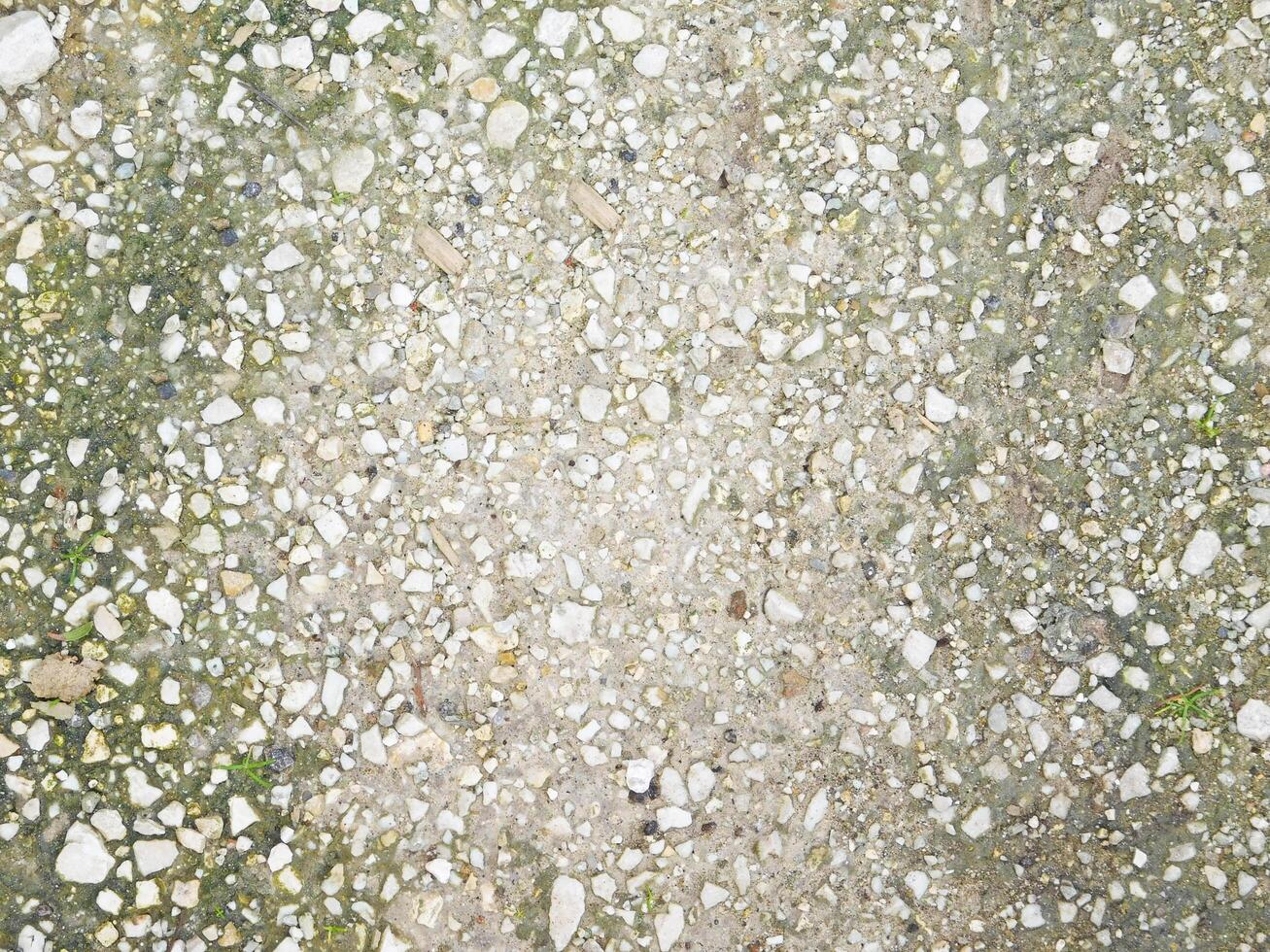 Stone Texture Outdoors In The Garden photo