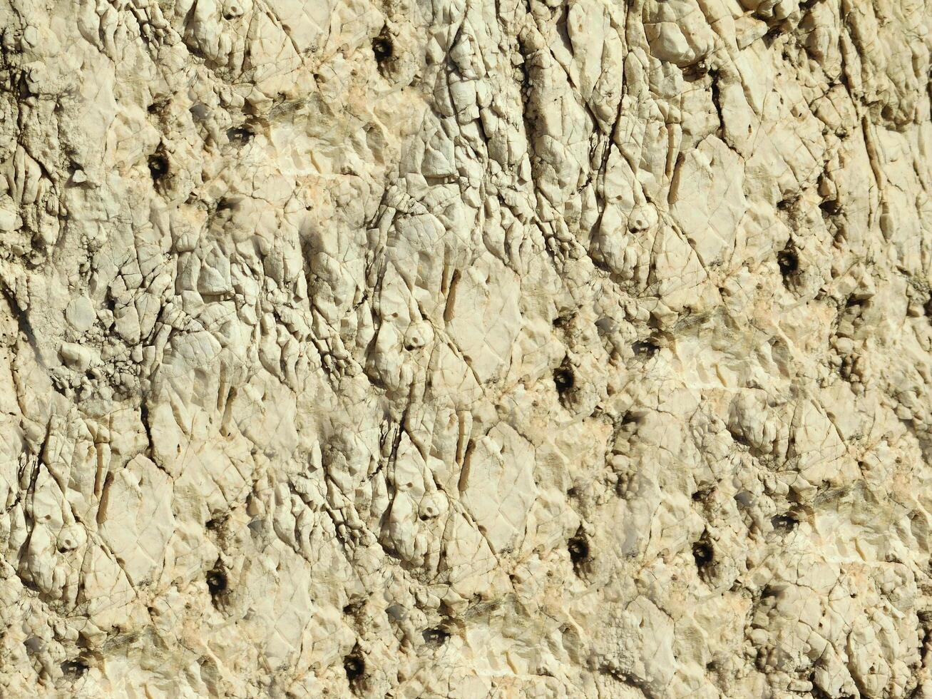 outdoor stone texture photo