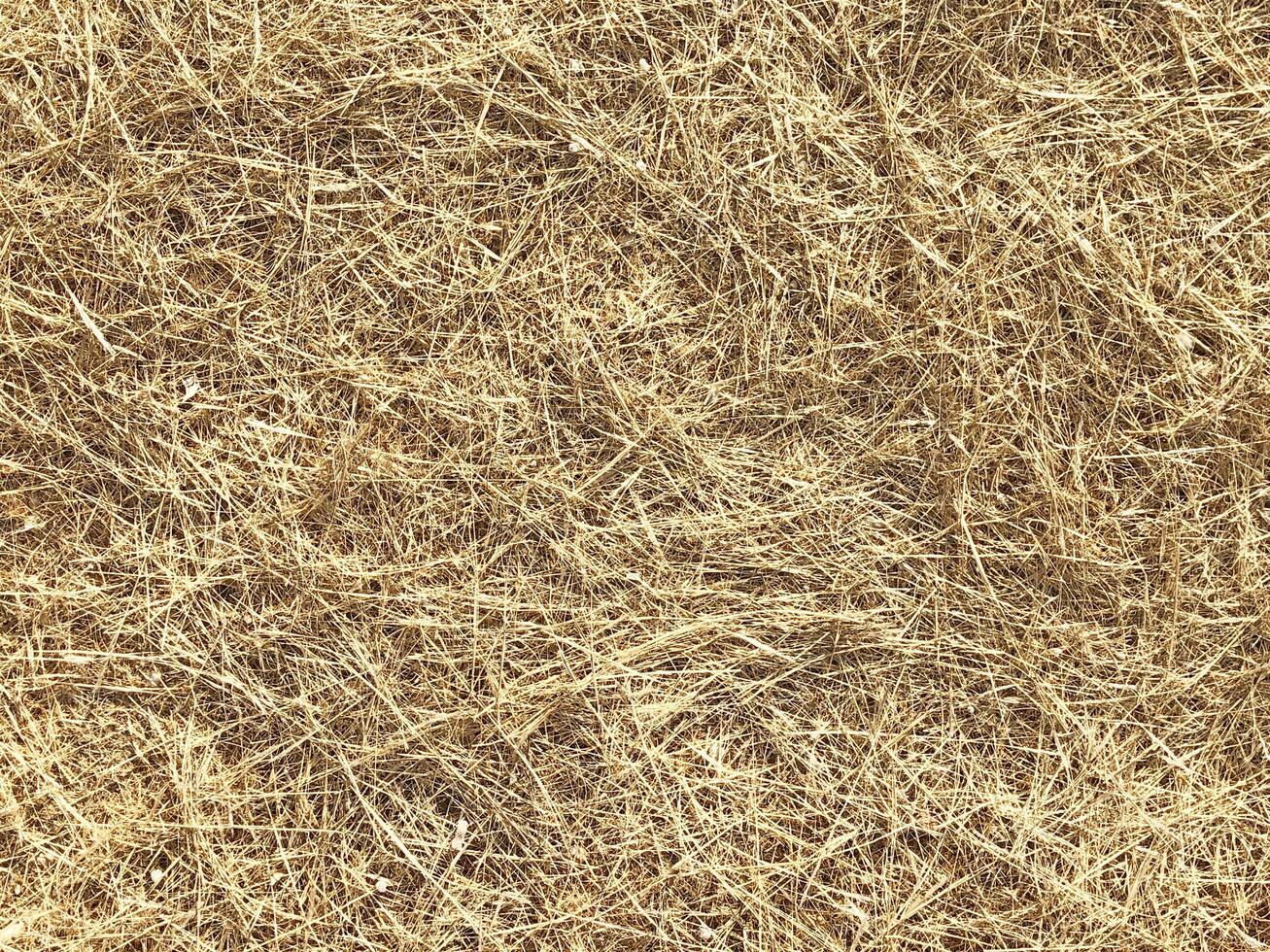 Outdoor straw texture photo