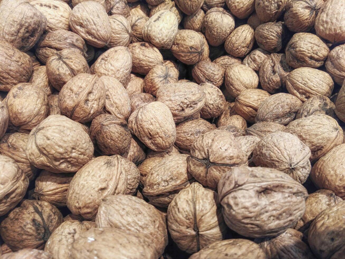 Nuts in the kitchen photo