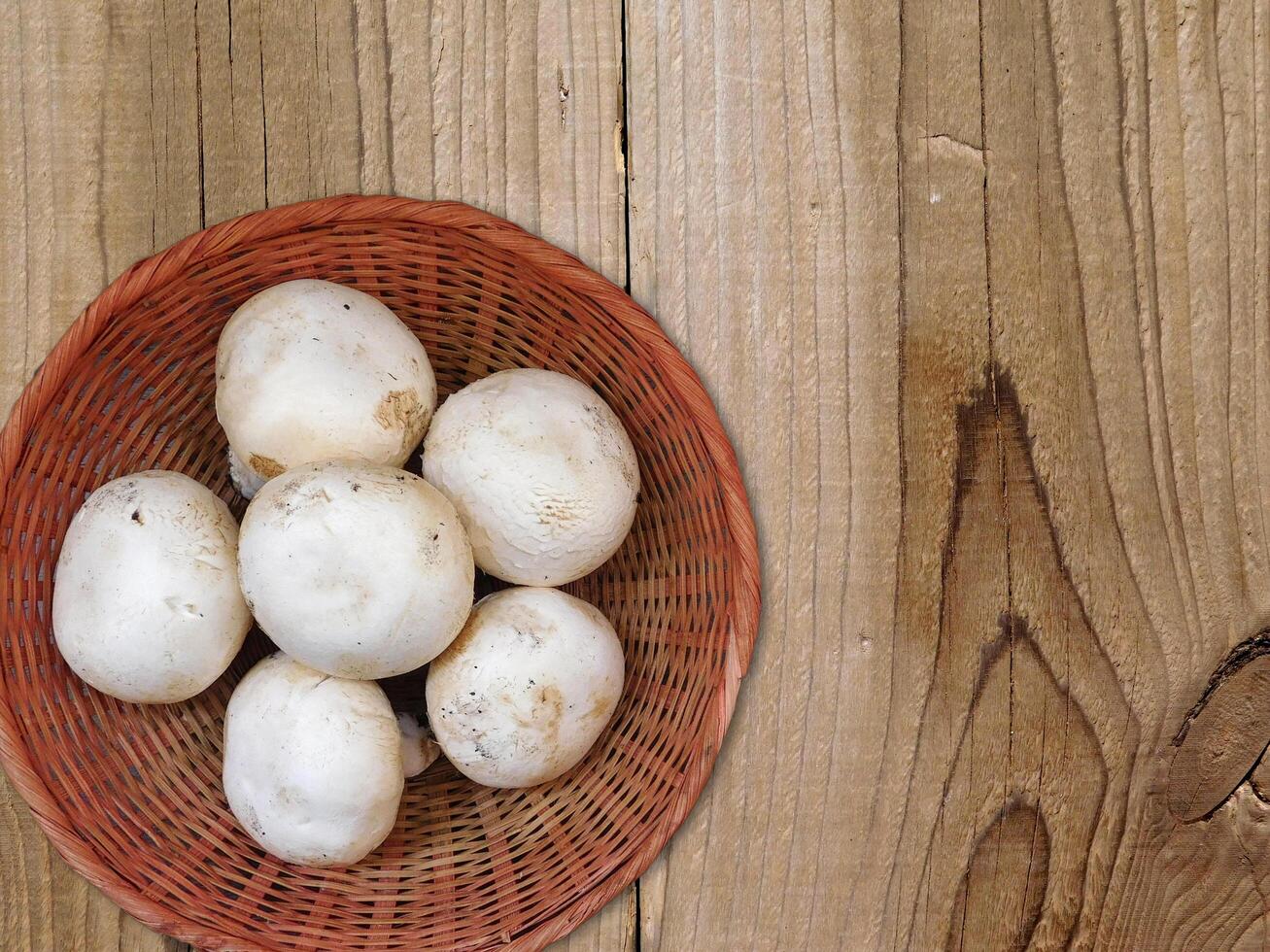 Mushrooms in the kitchen photo