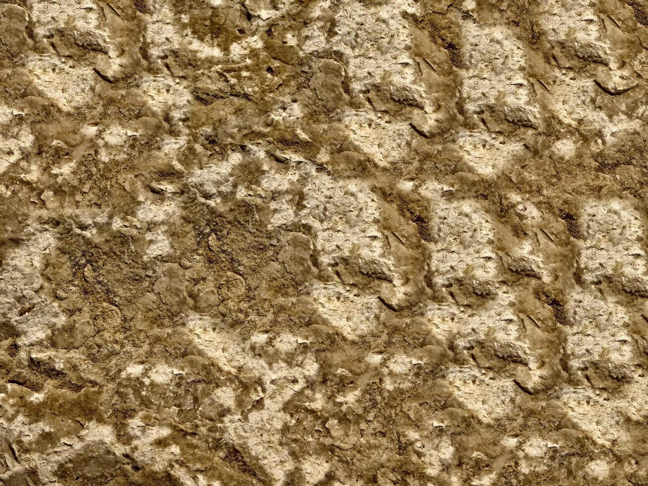 Brown Stone Texture photo