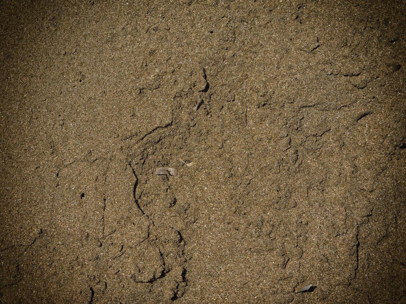 Texture Of Dark Sand At The Sea photo