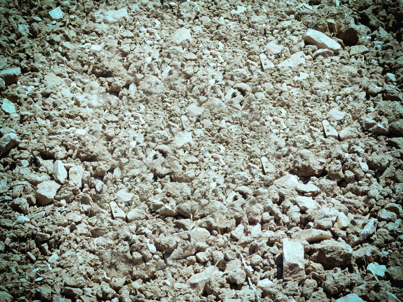 Dark Earth Texture In The Garden photo