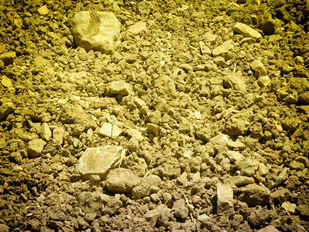 Ground texture outdoor photo