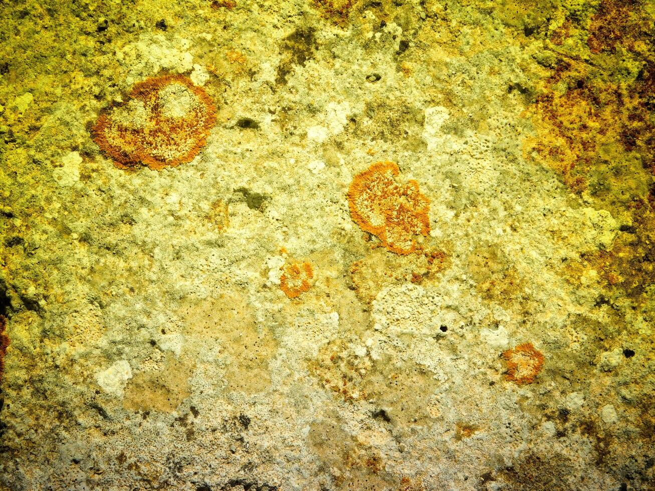 Texture Of Yellow Stone In The Garden photo