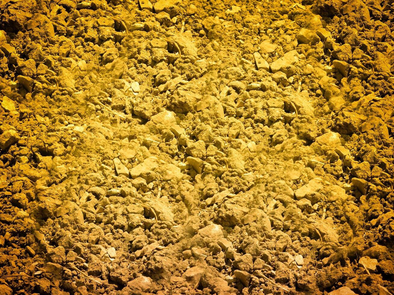 outdoor ground texture photo