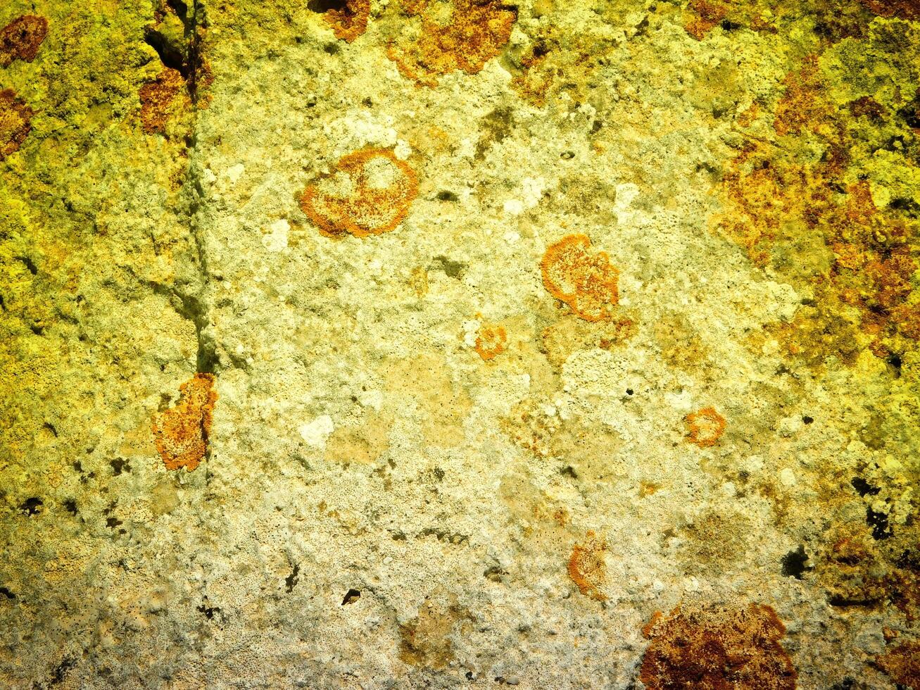 Texture Of Yellow Stone In The Garden photo