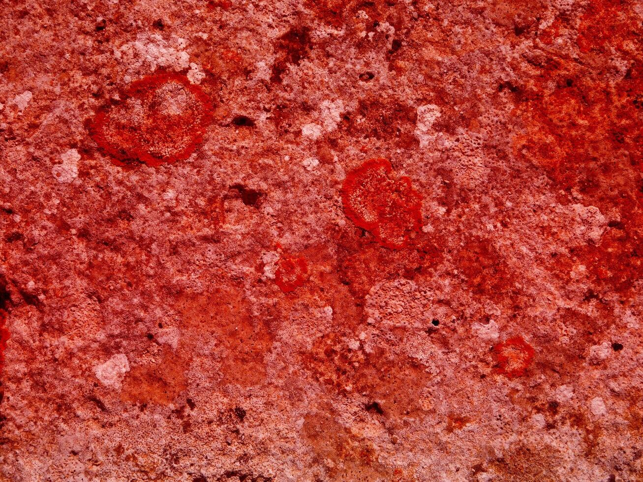 Texture Of Red Stone In The Garden photo