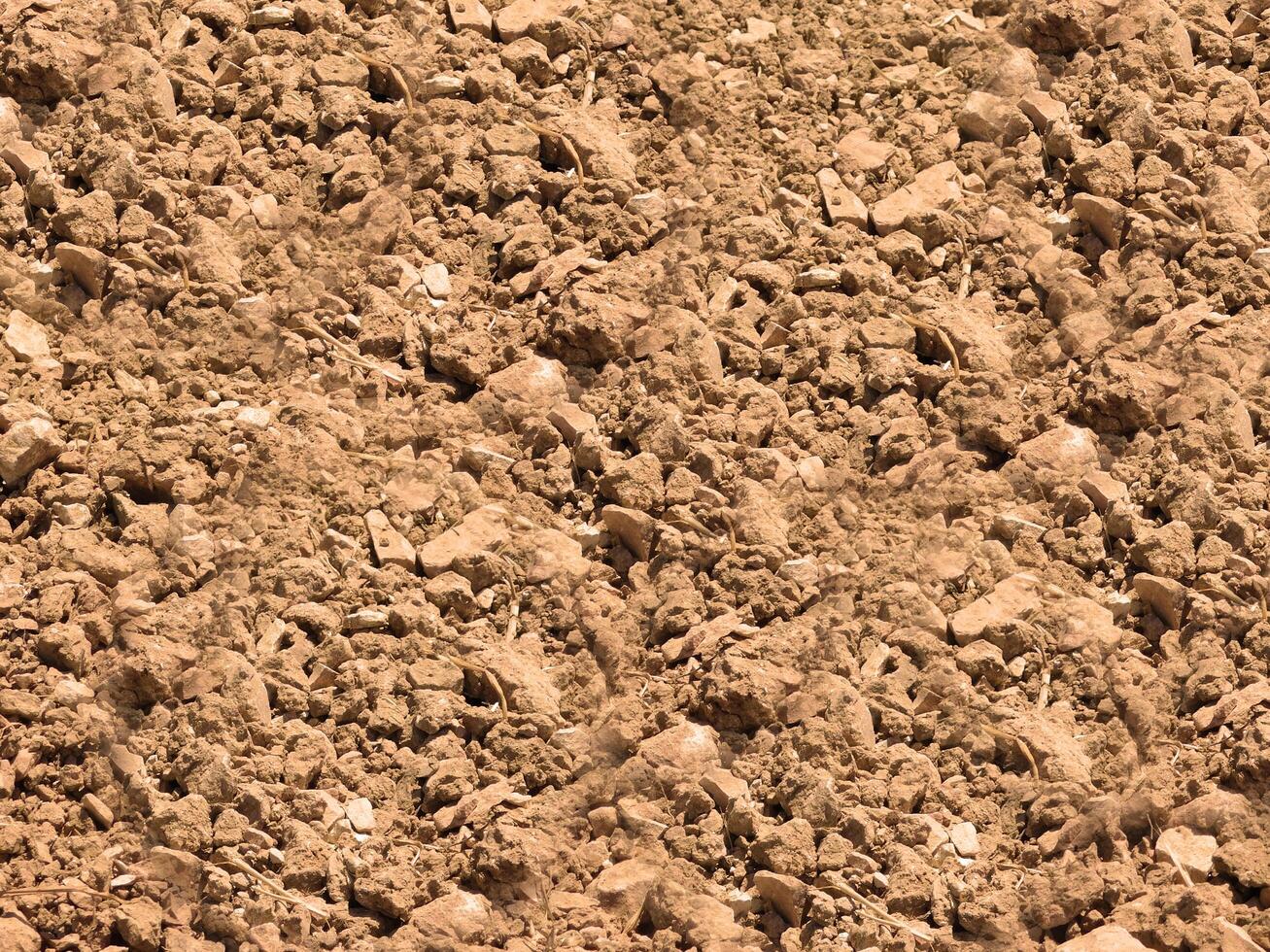 outdoor ground texture photo