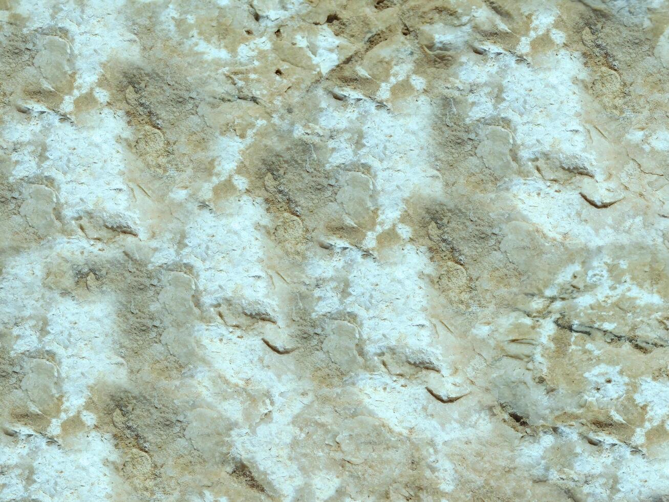 outdoor stone texture photo