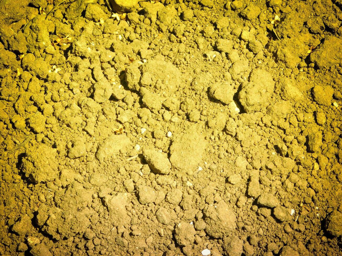 Ground texture outdoor photo