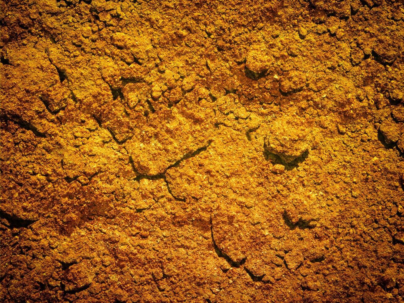 outdoor ground texture photo
