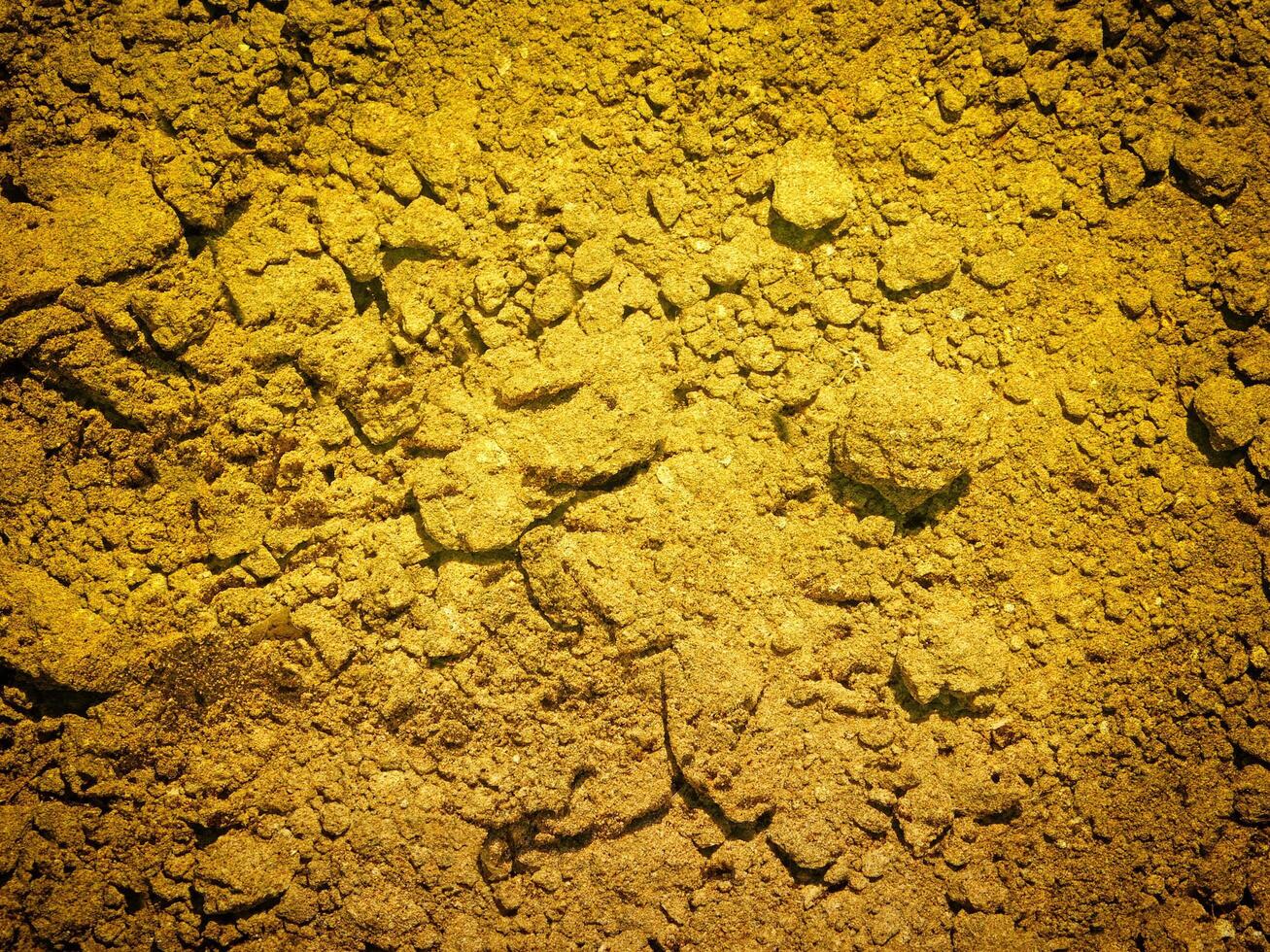 outdoor ground texture photo