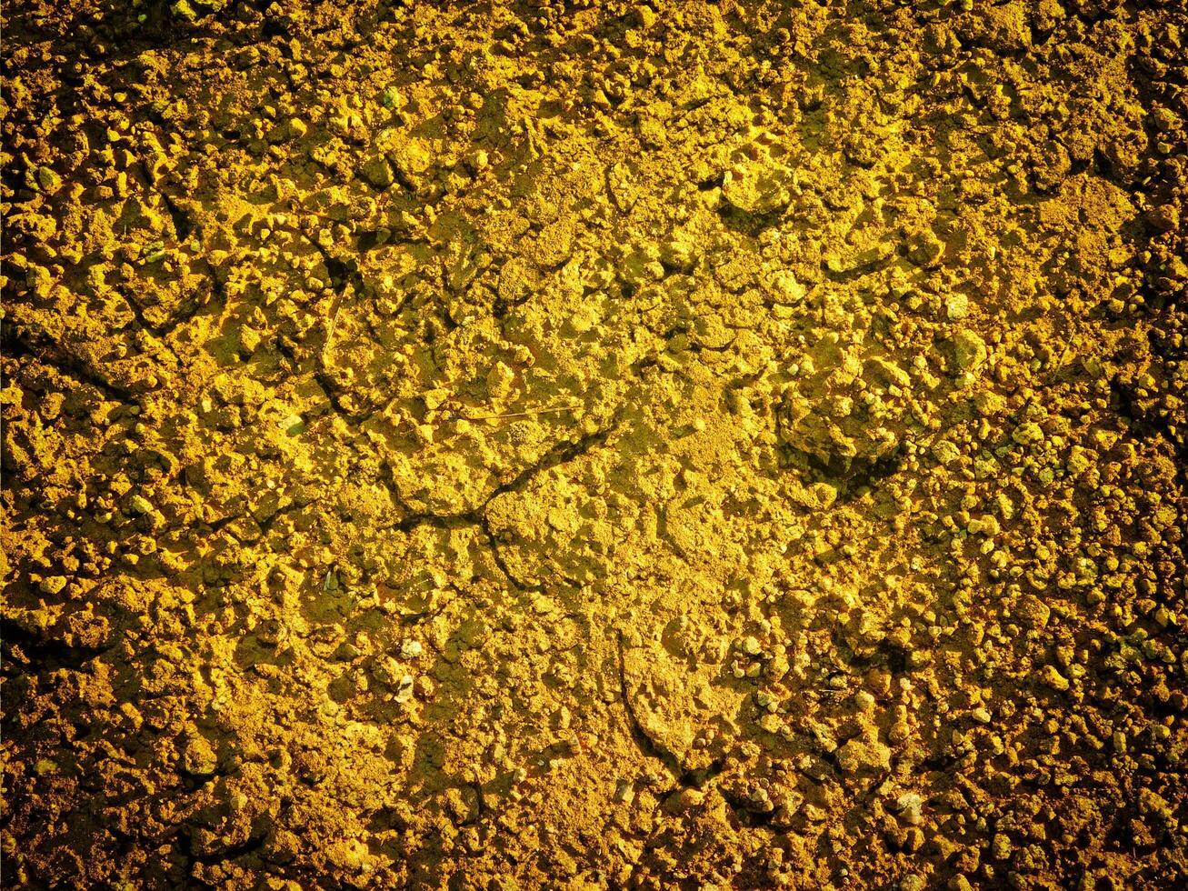 outdoor ground texture photo