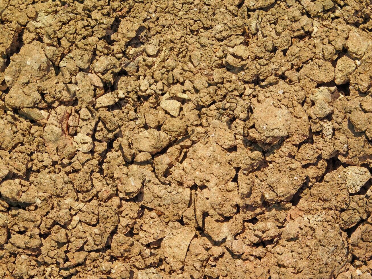 outdoor ground texture photo