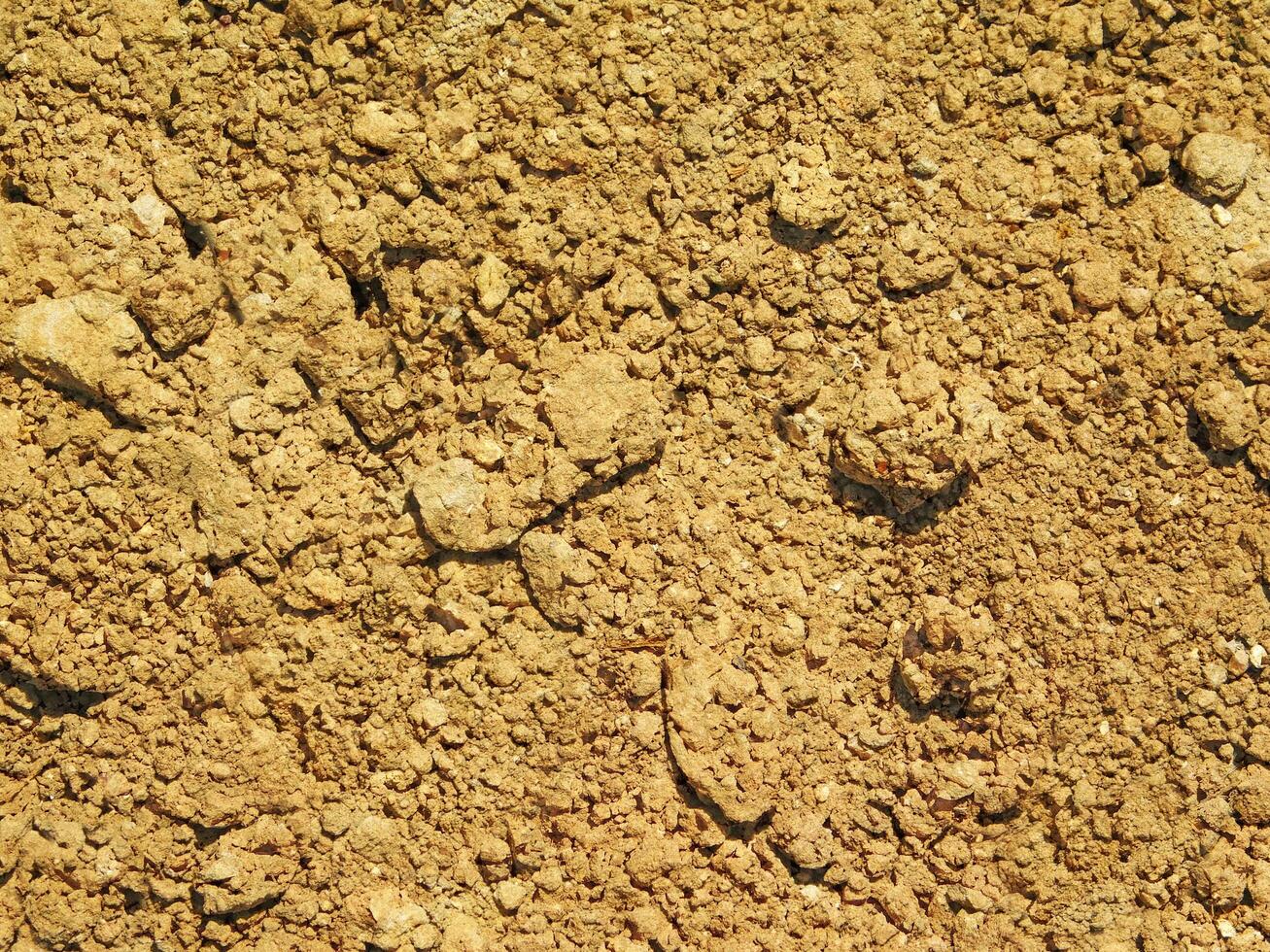 outdoor ground texture photo