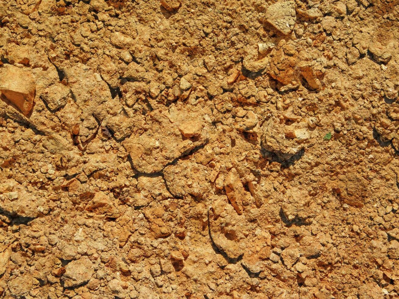 textura de suelo al aire libre foto