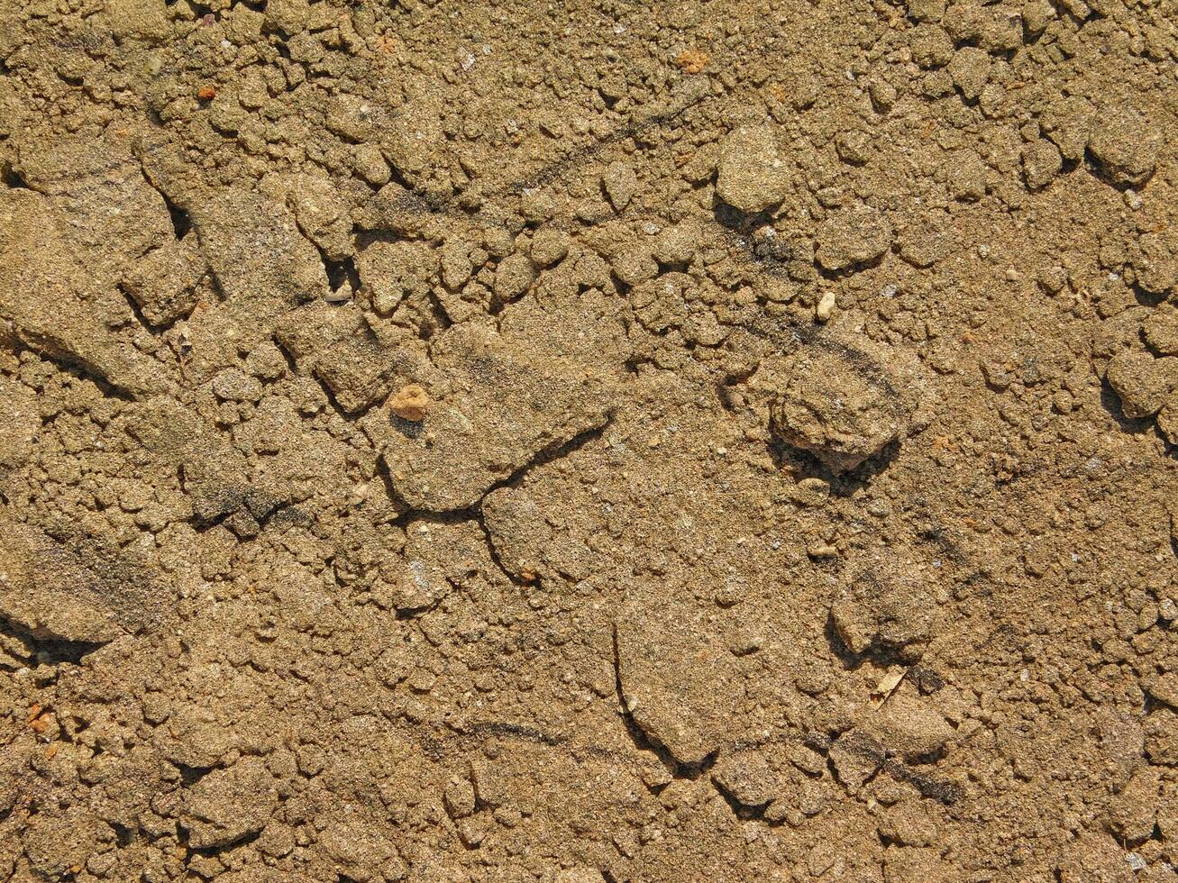 outdoor ground texture photo