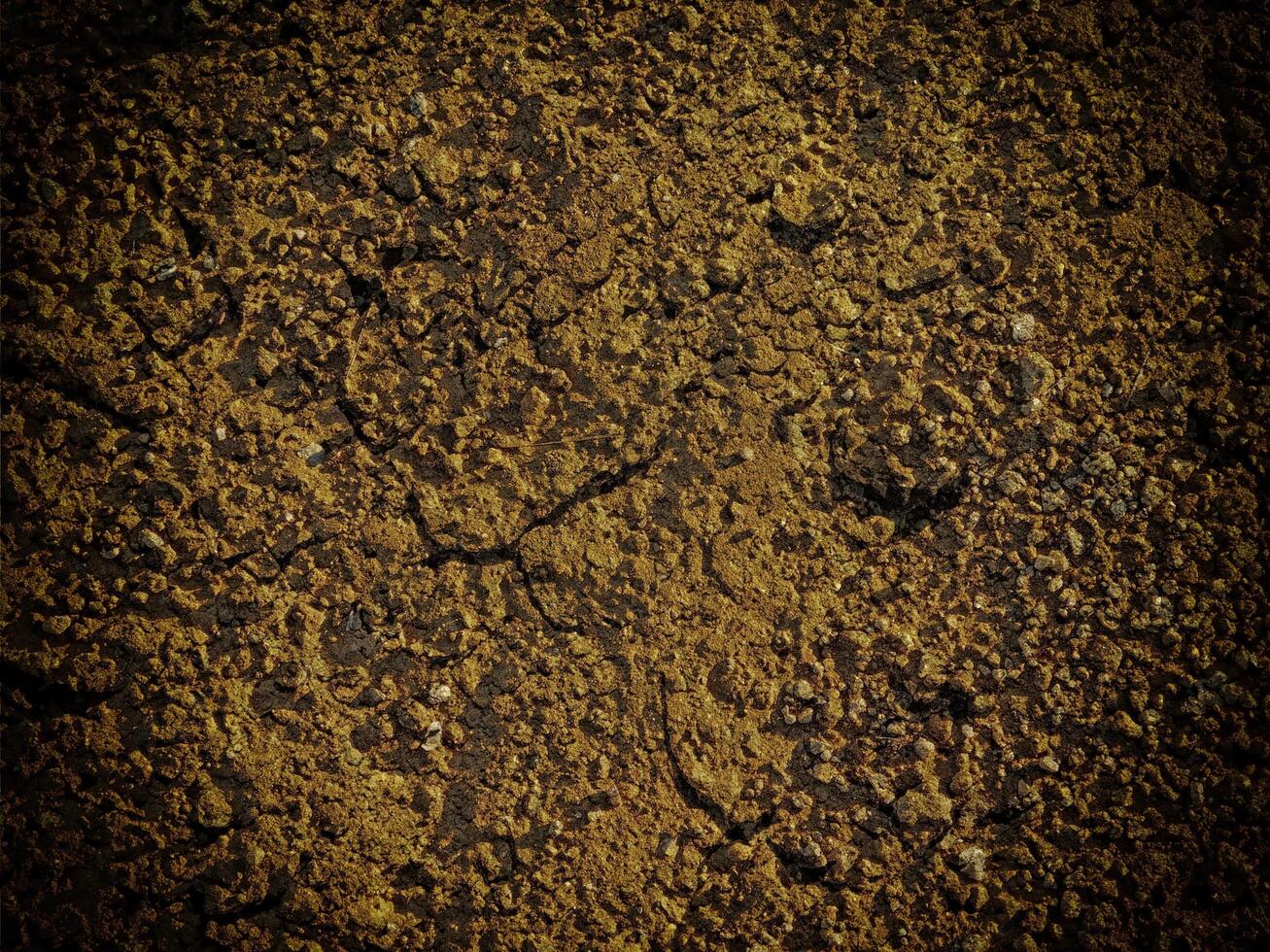 Dark Earth Texture In The Garden photo