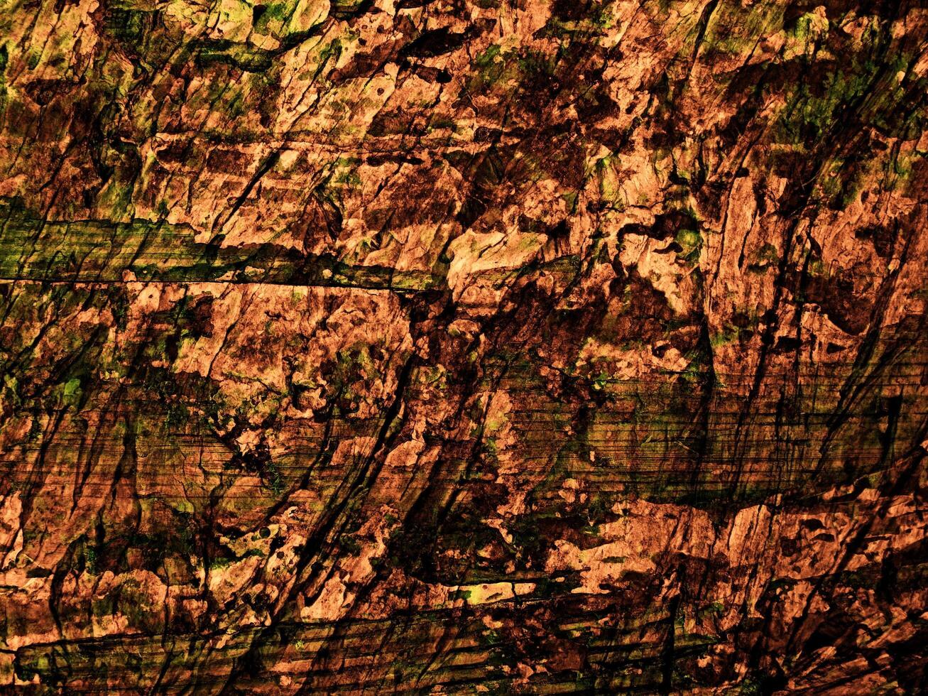 Dark Brown Wood Texture photo