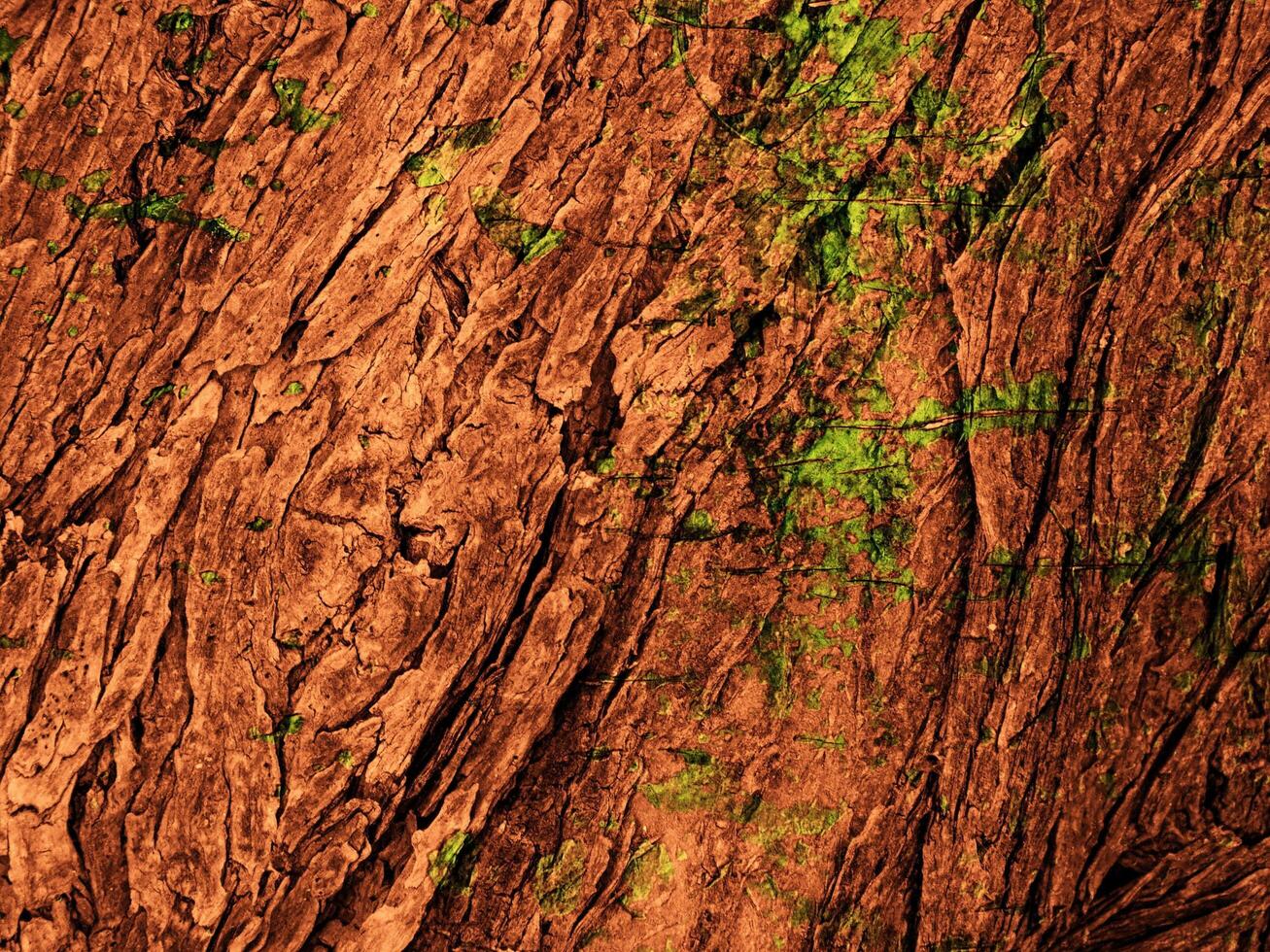 Dark Brown Wood Texture photo