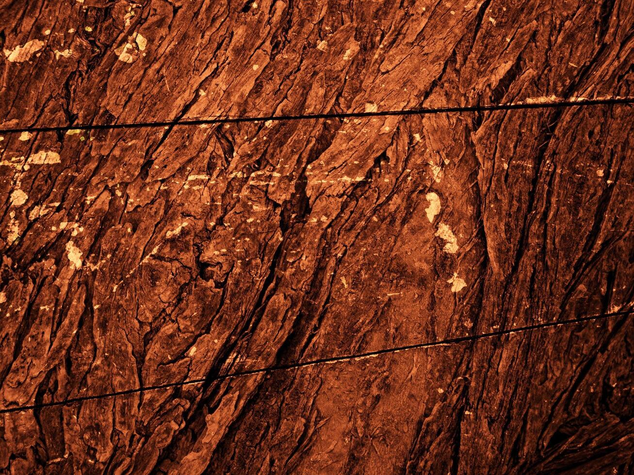Dark Brown Wood Texture photo