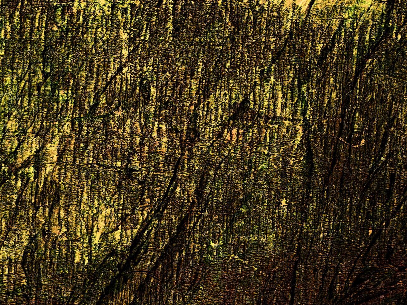 Dark Brown Wood Texture photo