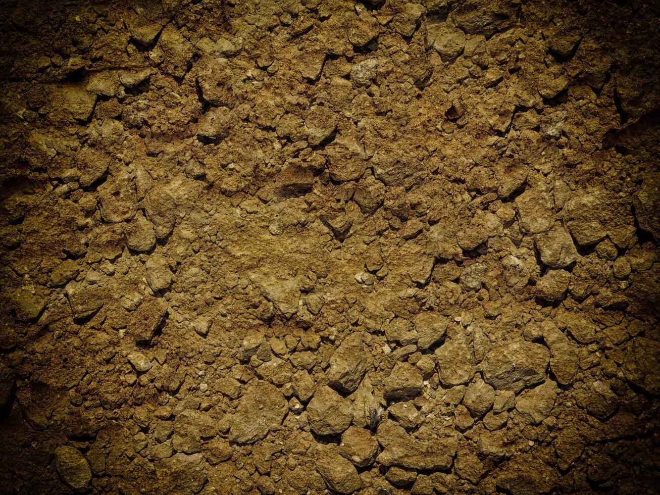 Dark Earth Texture In The Garden photo