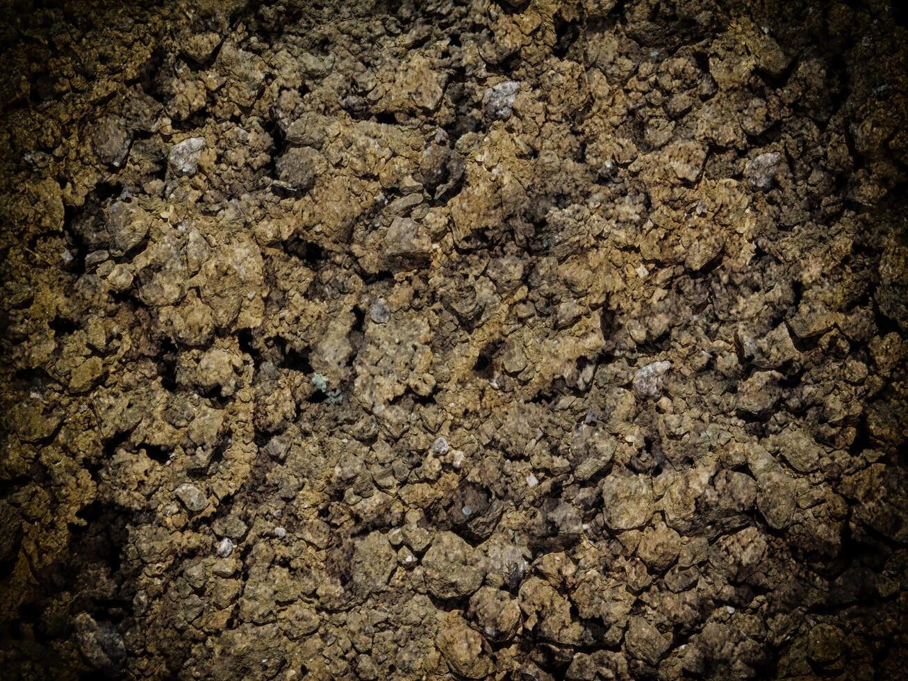 Dark Earth Texture In The Garden photo