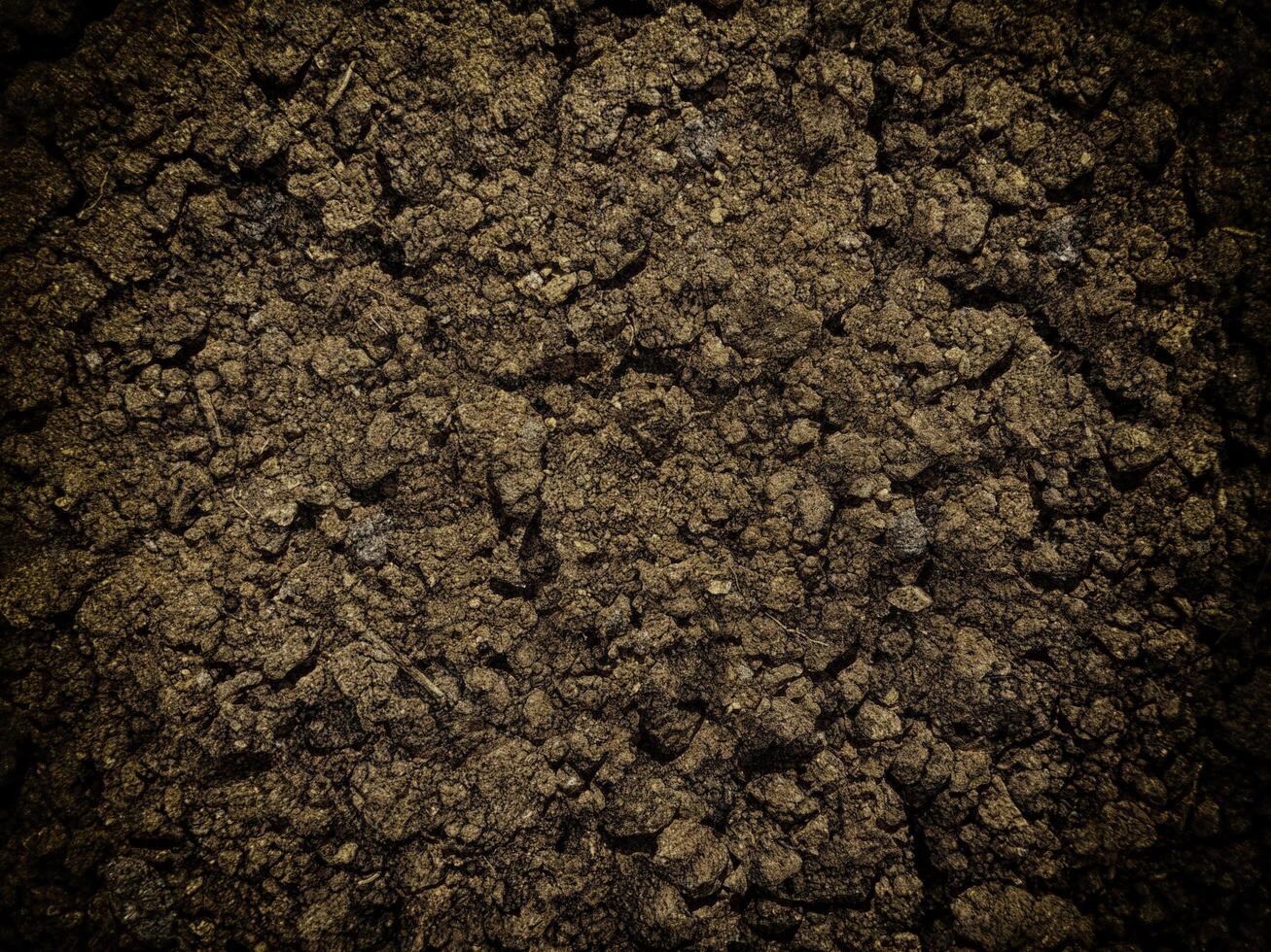 Dark Earth Texture In The Garden photo