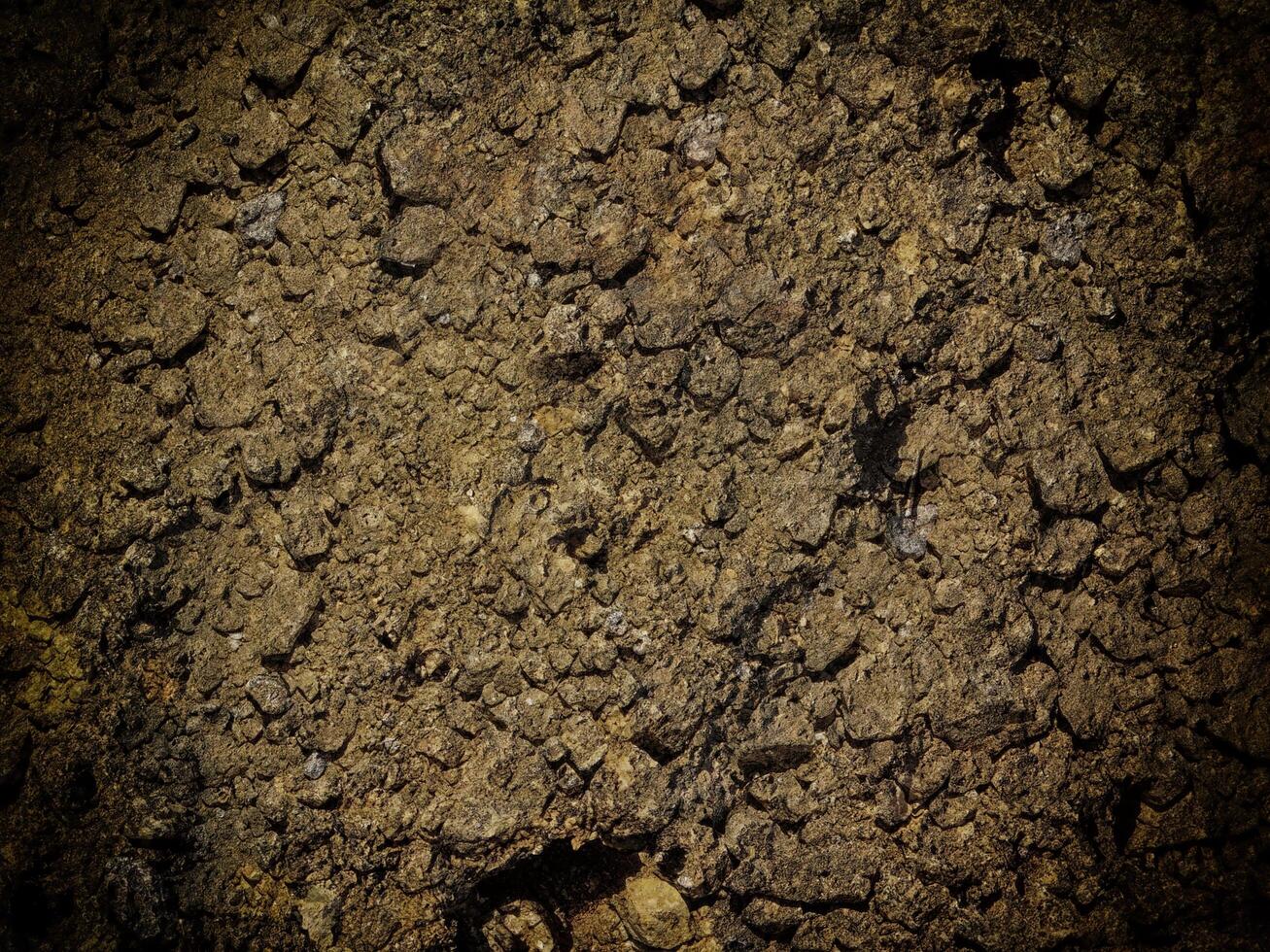 textura de tierra oscura en el jardín foto