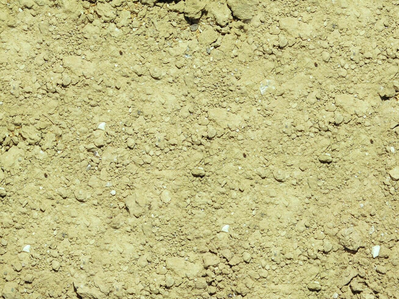 Ground texture outdoor photo