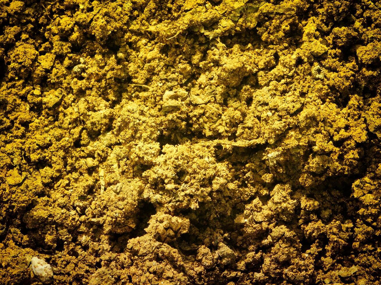 Ground Texture Outdoors In The Garden photo