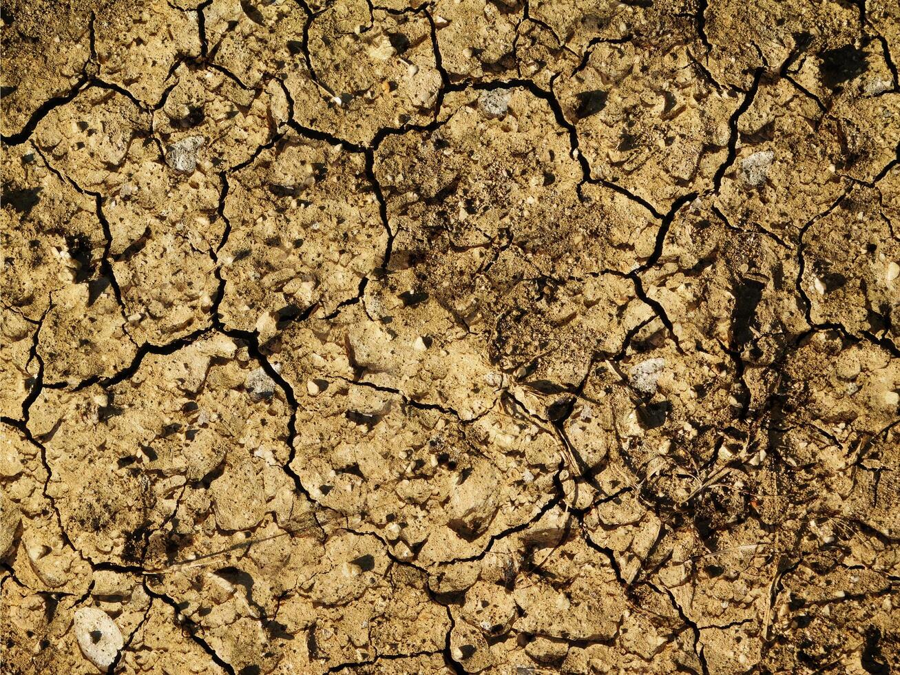 Ground Texture Outdoors In The Garden photo