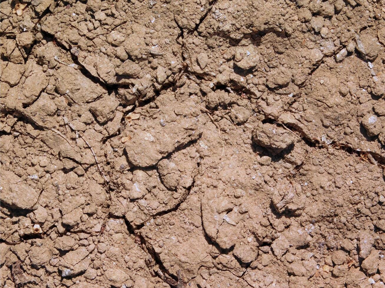 árido tierra al aire libre foto