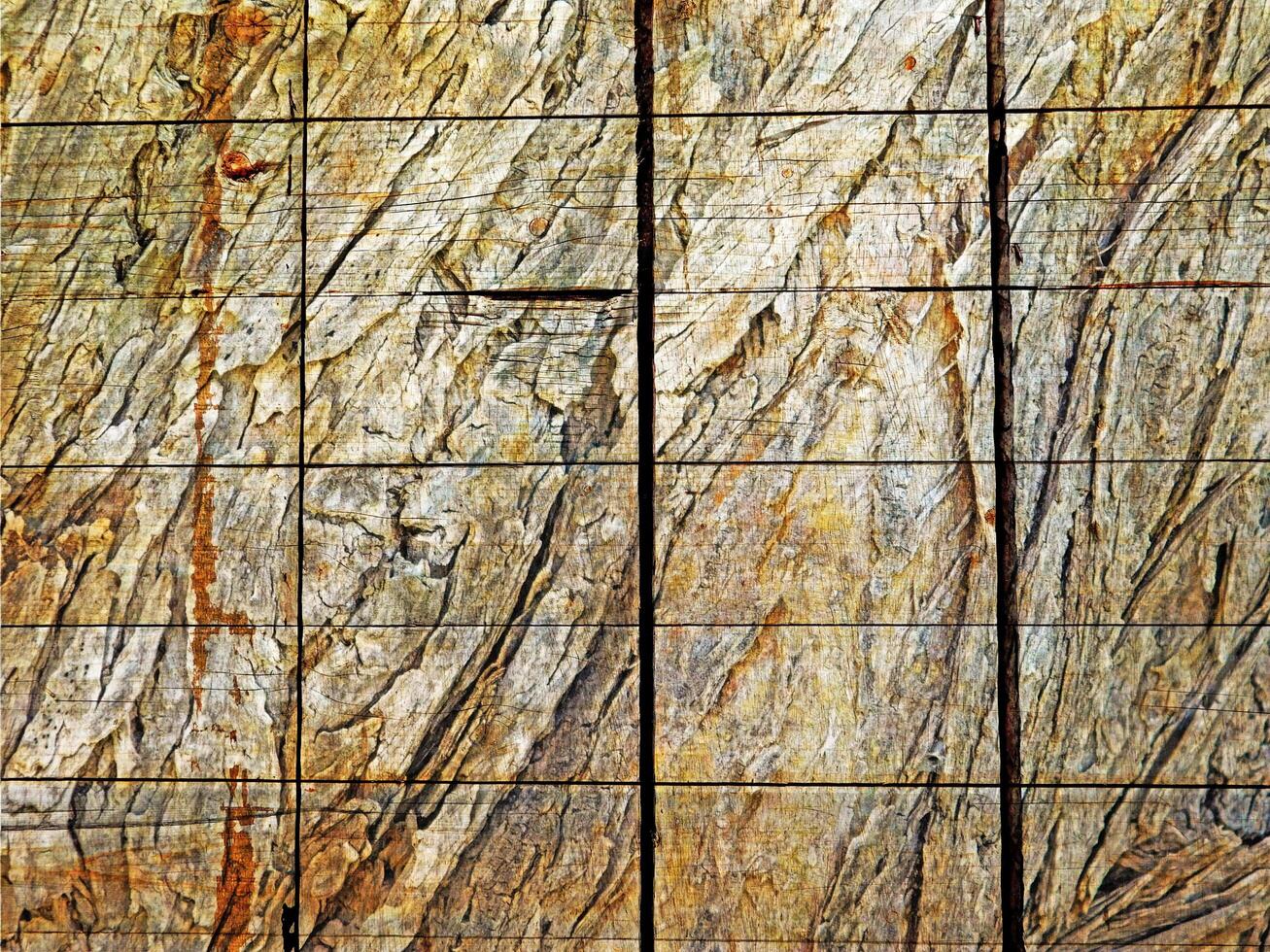 Wood texture outdoor photo