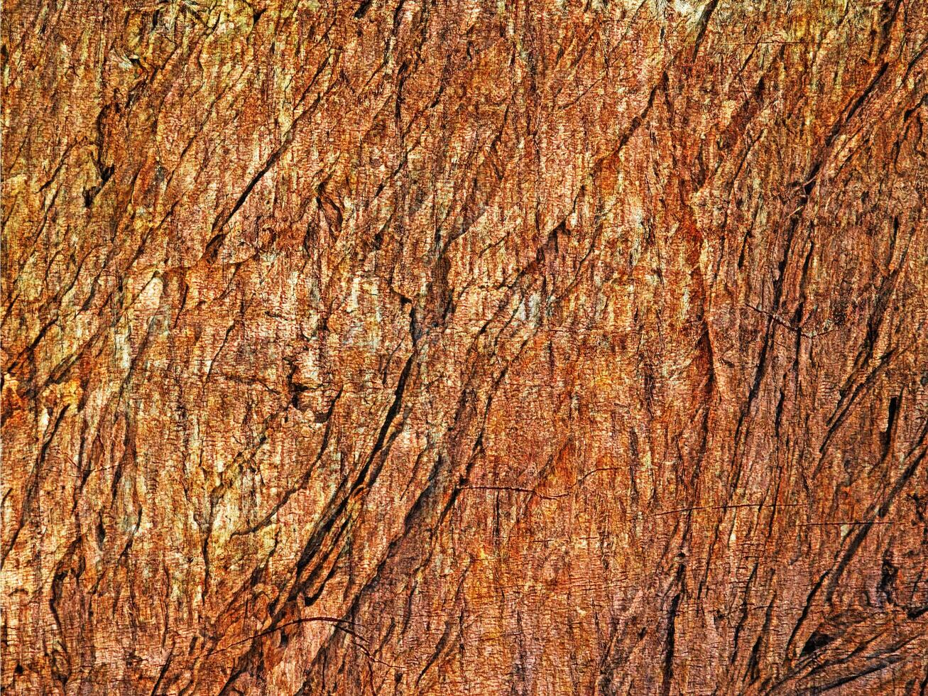 Wood texture outdoor photo
