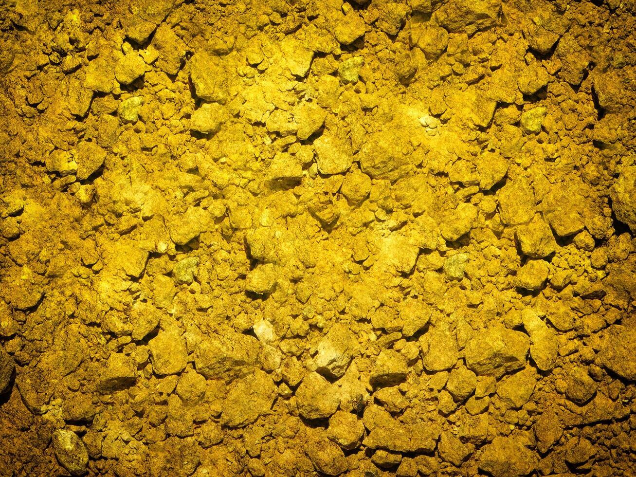 Ground Texture Outdoors In The Garden photo
