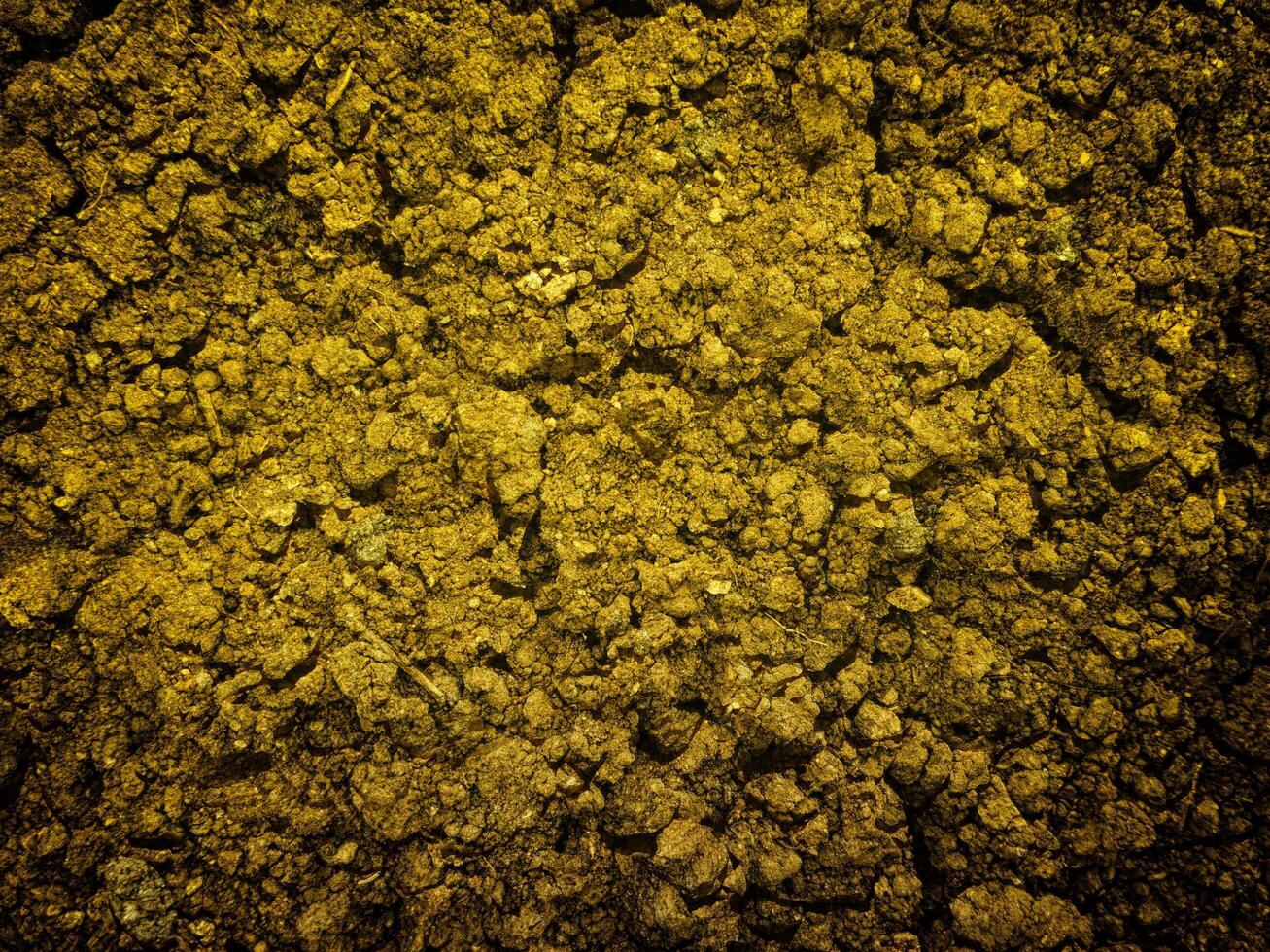 Ground Texture Outdoors In The Garden photo