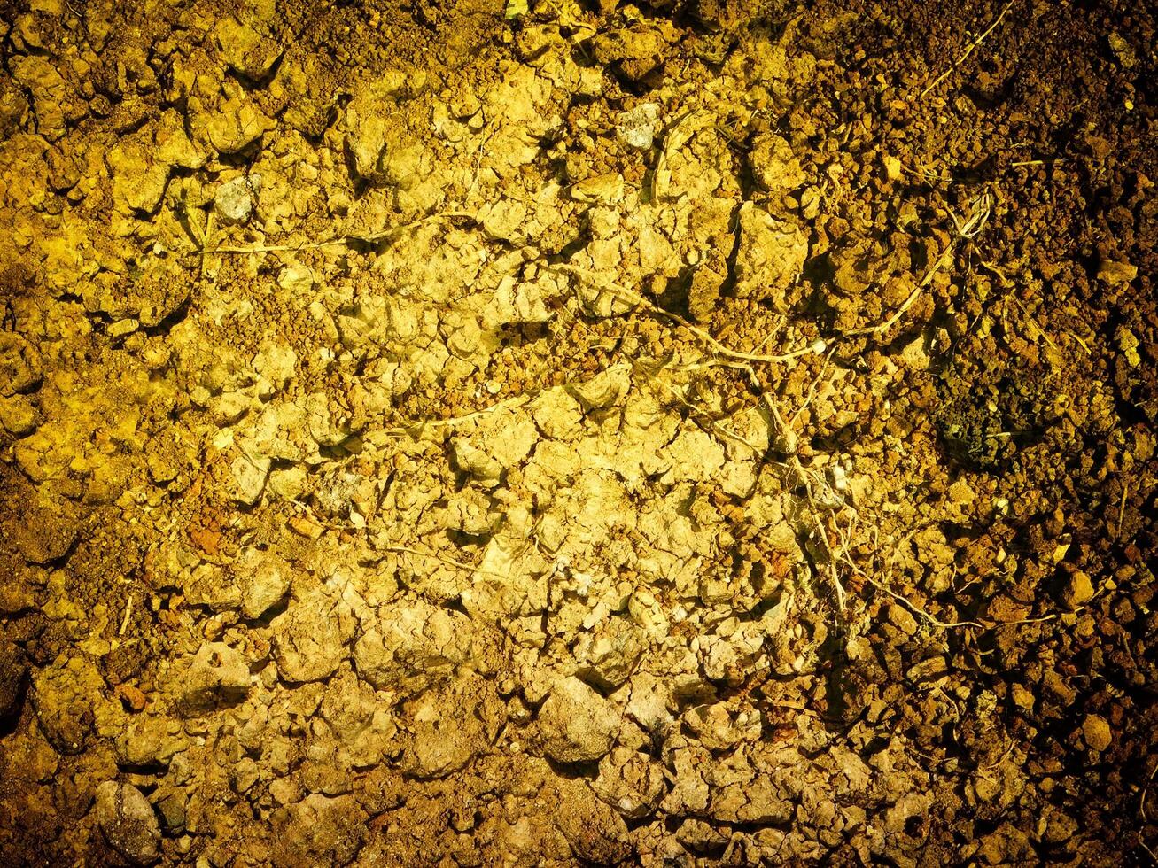 Ground Texture Outdoors In The Garden photo